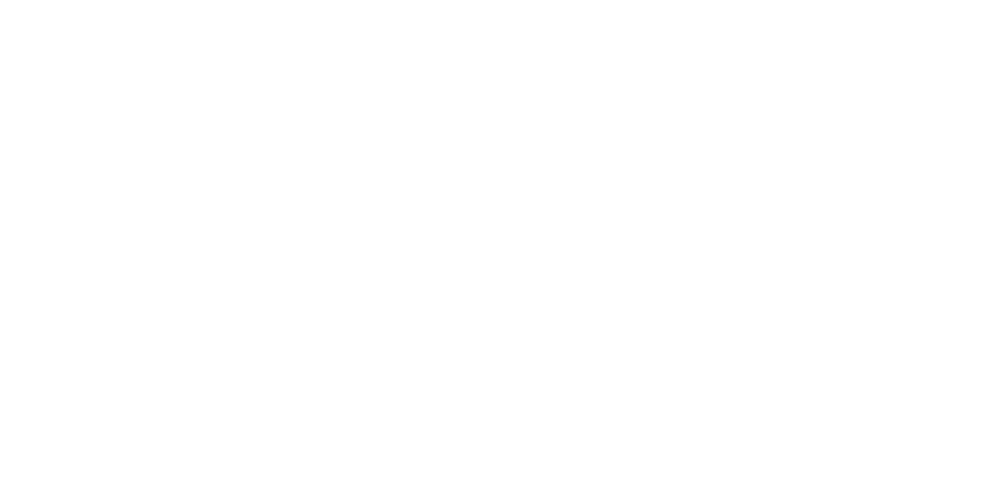 Classical Pointe Logo